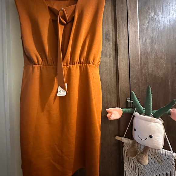 NWT Free People Size M- Runaway knit mini dress - Picture 6 of 9